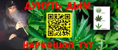 трава Северобайкальск