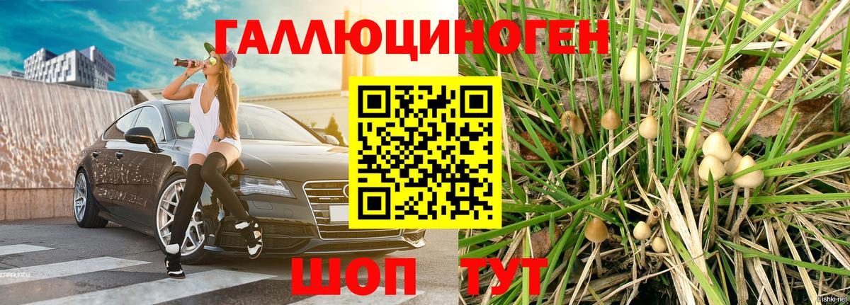 Псилоцибиновые грибы мухоморы  Вход с VPN  Пенза 