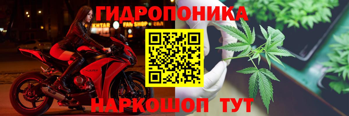 Конопля VHQ Пенза